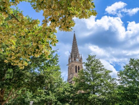 Vente Terrain 1066&nbsp;m² Saint-Cyr-au-Mont-d'Or