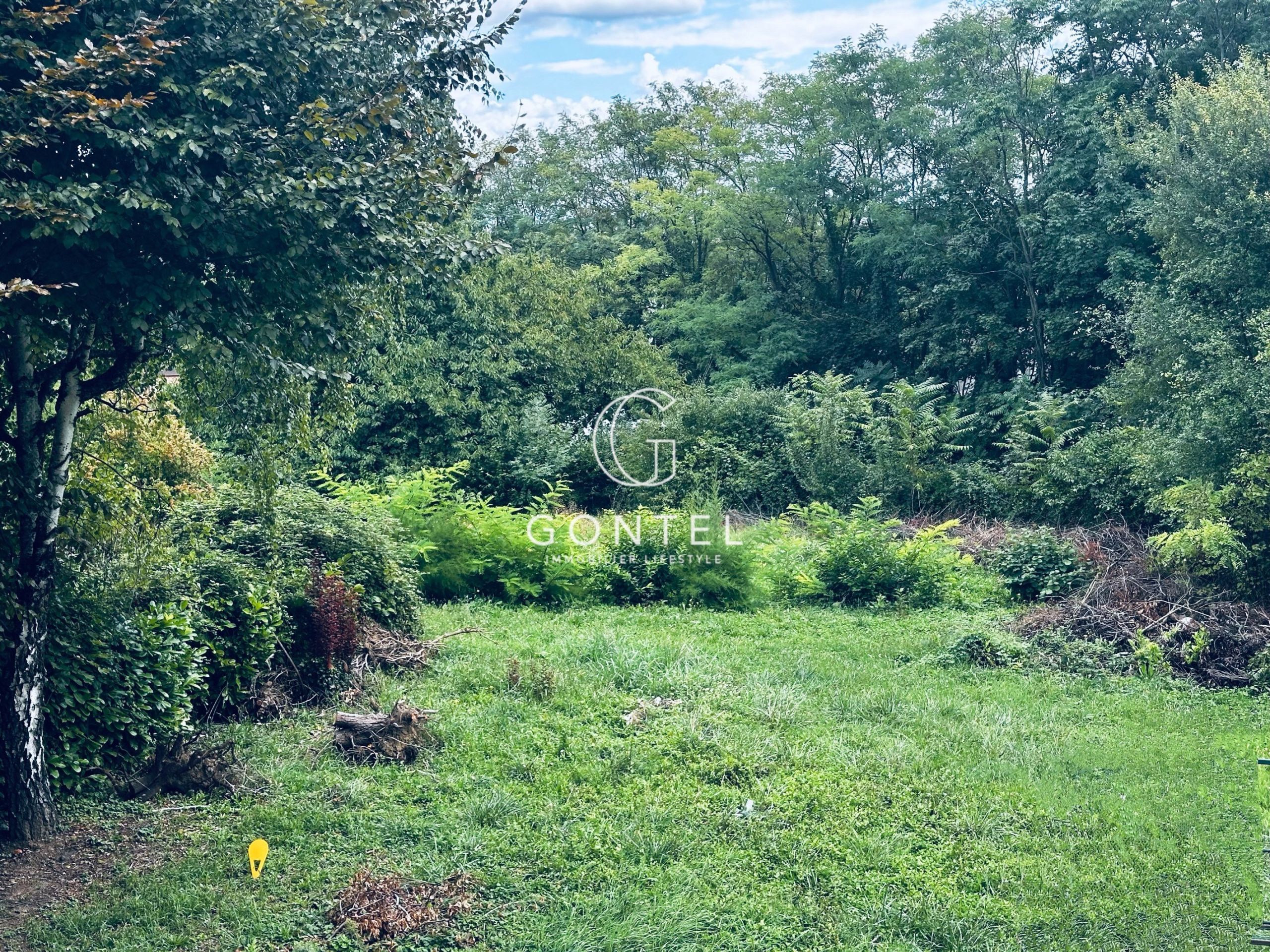 terrain en vente sur ST DIDIER AU MONT D OR (69370)