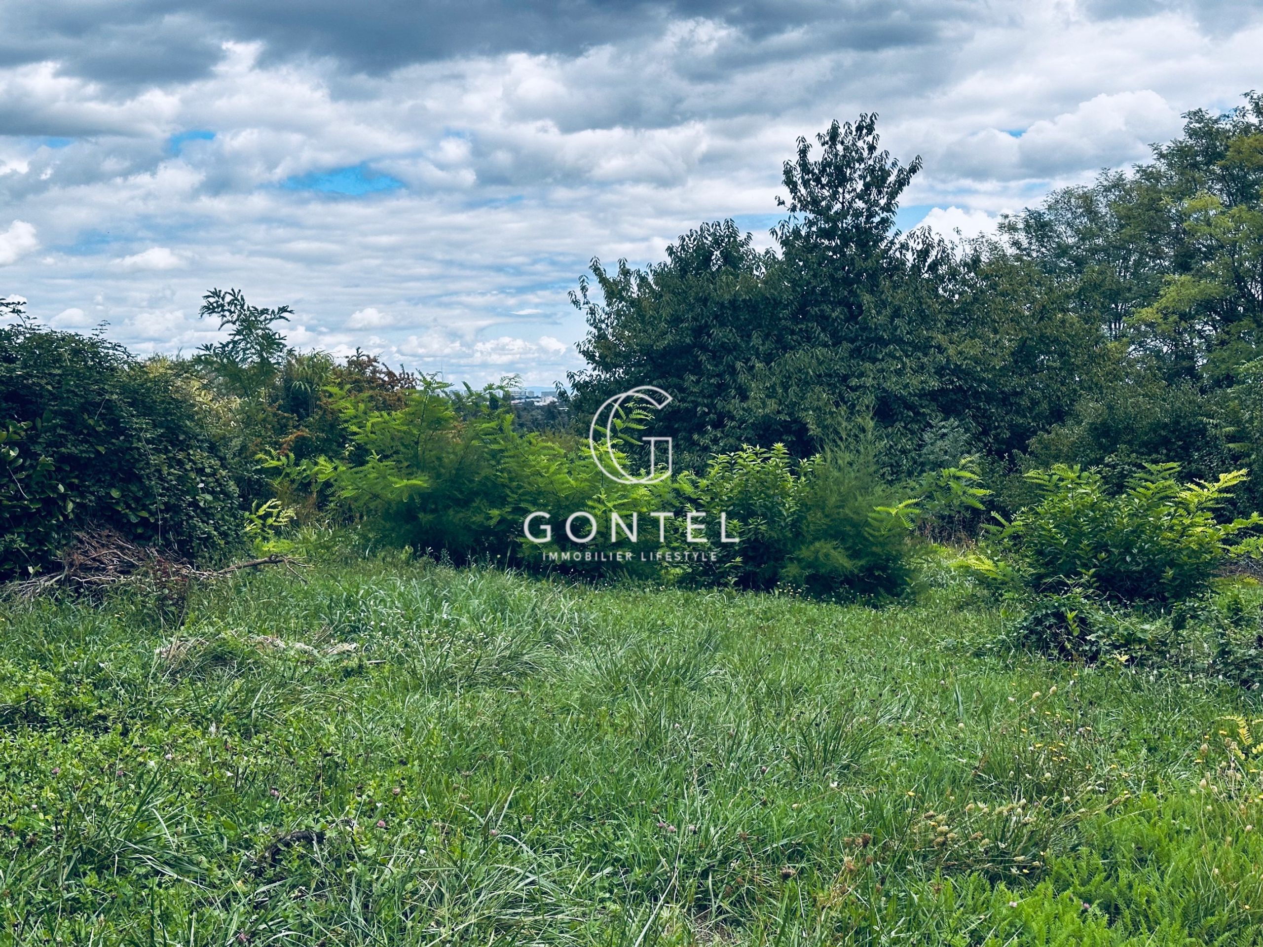 terrain en vente sur ST DIDIER AU MONT D OR (69370)