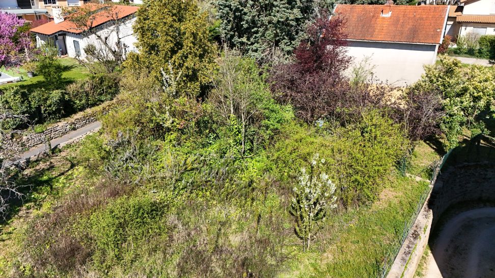 terrain en vente sur ST DIDIER AU MONT D OR (69370)